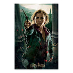 3D-palapeli Harry Potter Hermione Granger Battle Prime3D (300 pcs)