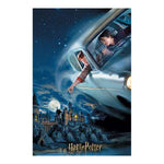 3D-palapeli Harry Potter & Ron Prime3D (300 pcs)