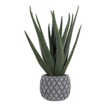 Koristekasvi DKD Home Decor Aloe vera Polyetyleeni Kivitavara (20 x 20 x 47 cm)