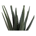 Koristekasvi DKD Home Decor Aloe vera Polyetyleeni Kivitavara (20 x 20 x 47 cm)