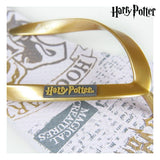 Naisten Flip-flopit Harry Potter 74426 Valkoinen Kullattu