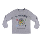 Pyjamat Lasten Harry Potter Harmaa